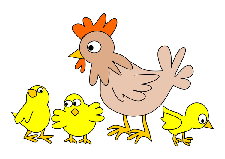 bild hÃ¶na med kycklingar