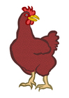 höna