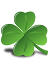irländsk klöver - Shamrock