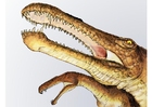 bild Irritator dinosaurie