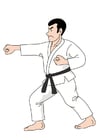 bilder judo