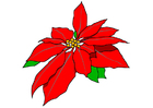 bild julros