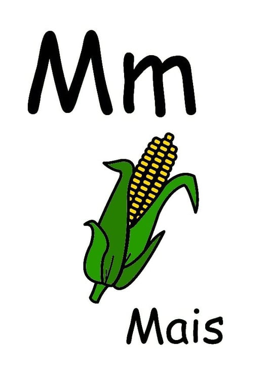 M. Bild M. Bild