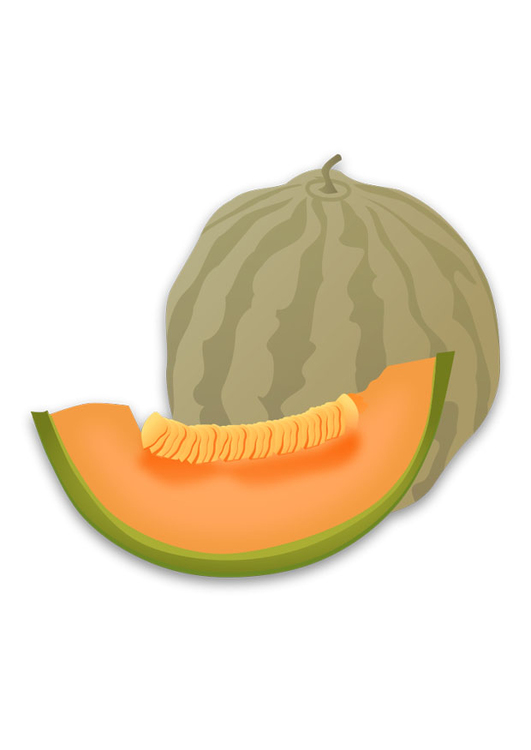 bild melon