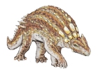 bild Minmi paravertebra dinosaurie