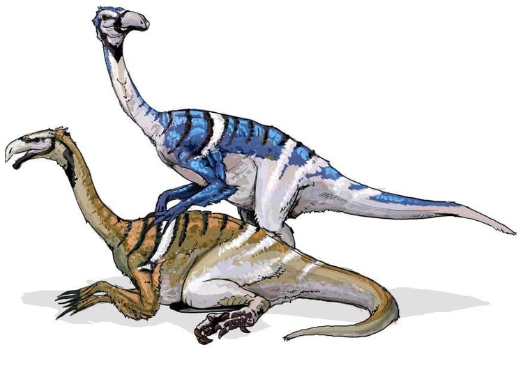 bild Nanshuingosaurus dinosaurie