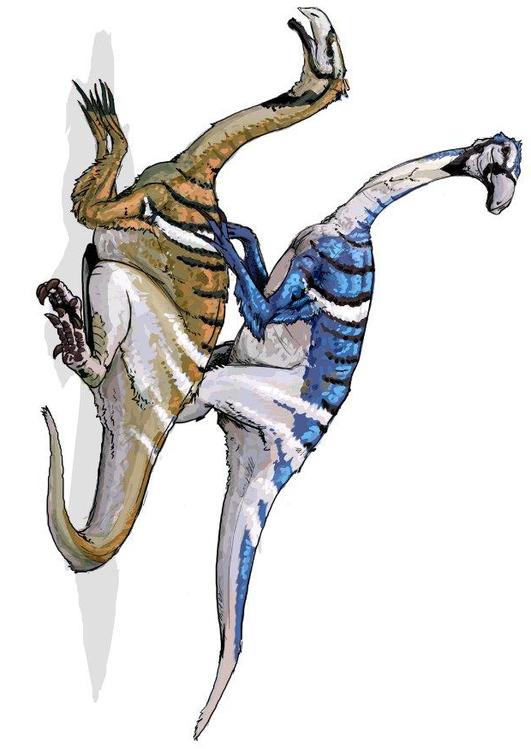 Nanshuingosaurus dinosaurie
