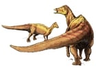 bild Nipponosaurus
