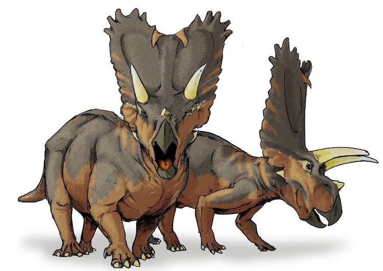 bild Pentaceratops dinosaurie