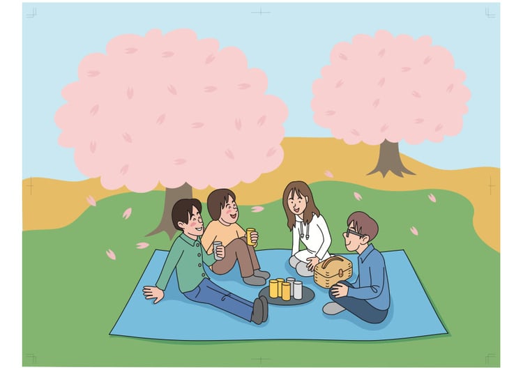 bild picknick