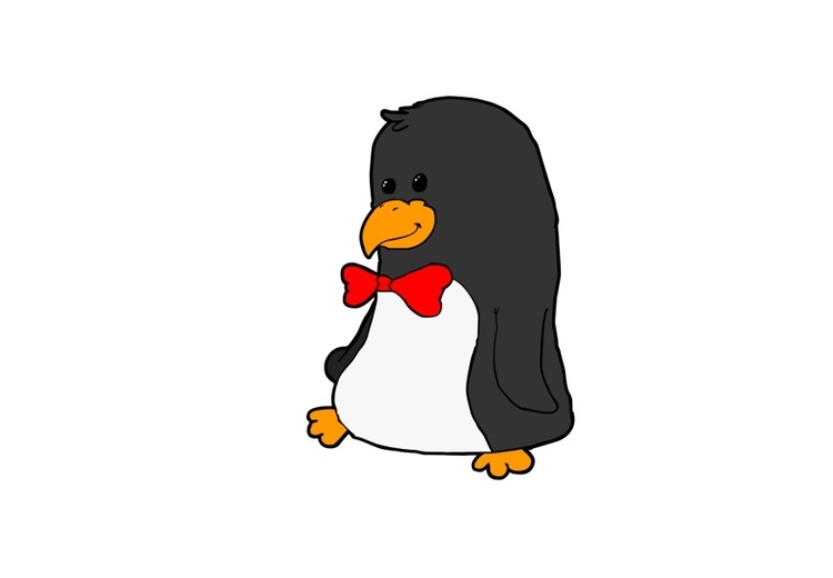bild pingvin