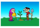 plantera ett träd