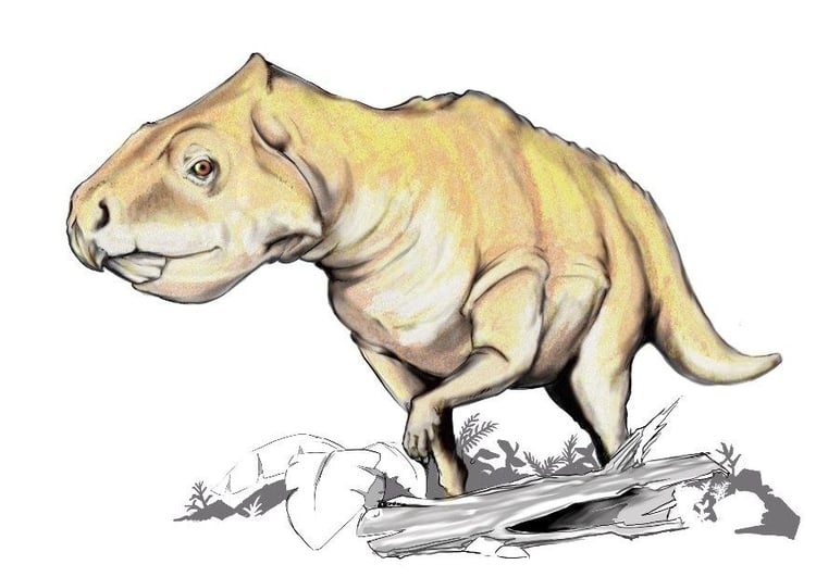 bild Prenoceratops dinosaurie