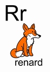 bild r