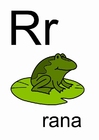 bild r