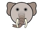 r1 - elefant