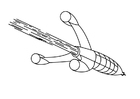 Målarbild raket