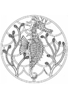 Målarbild sjÃ¶hÃ¤stmandala