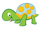 bilder sköldpadda