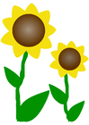 solrosor