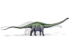 bild Supersaurus
