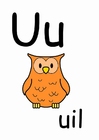bild u