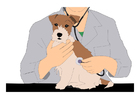 veterinär