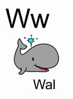 bild w