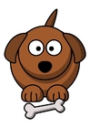 bild z1 - hund