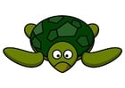 bilder z1 - sköldpadda