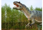 foto Allosaurus replik