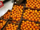 Foto apelsiner