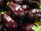 foto aubergine - äggplanta