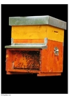 foto bikupa
