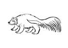 Målarbild bjÃ¶rn