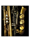 Foto blÃ¥sinstrument