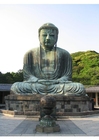 Foton Buddha