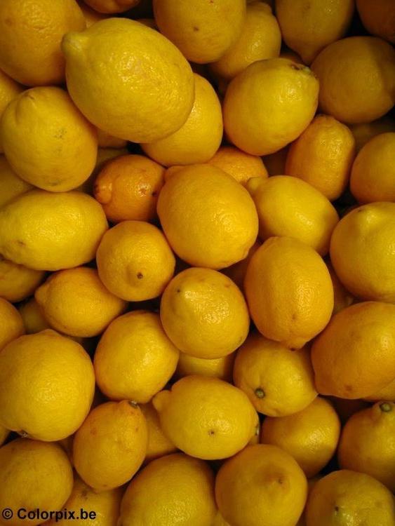 citroner