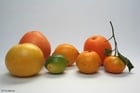 Foto citrusfrukter