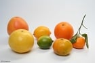 Foto citrusfrukter
