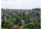 foto förstenad skog i Kunming