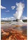 gejser i Yellowstones nationalpark, USA