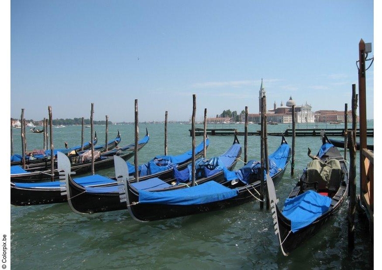 Foto gondoler  i Venedig
