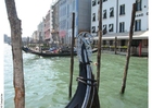 gondoler i Venedig