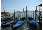 foto gondoler i Venedig
