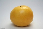 foto grapefrukt