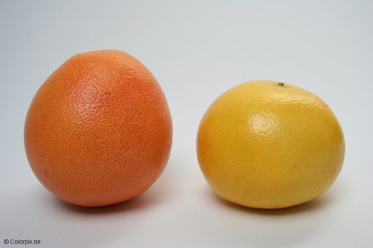 Foto grapefrukter