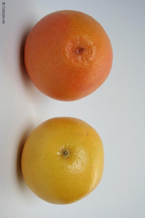 grapefrukter