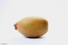 foto gul kiwi