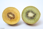 foto gul och grön kiwi